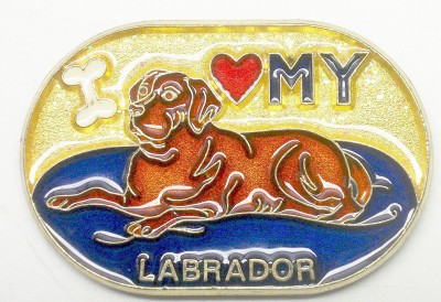 _P_Labrador